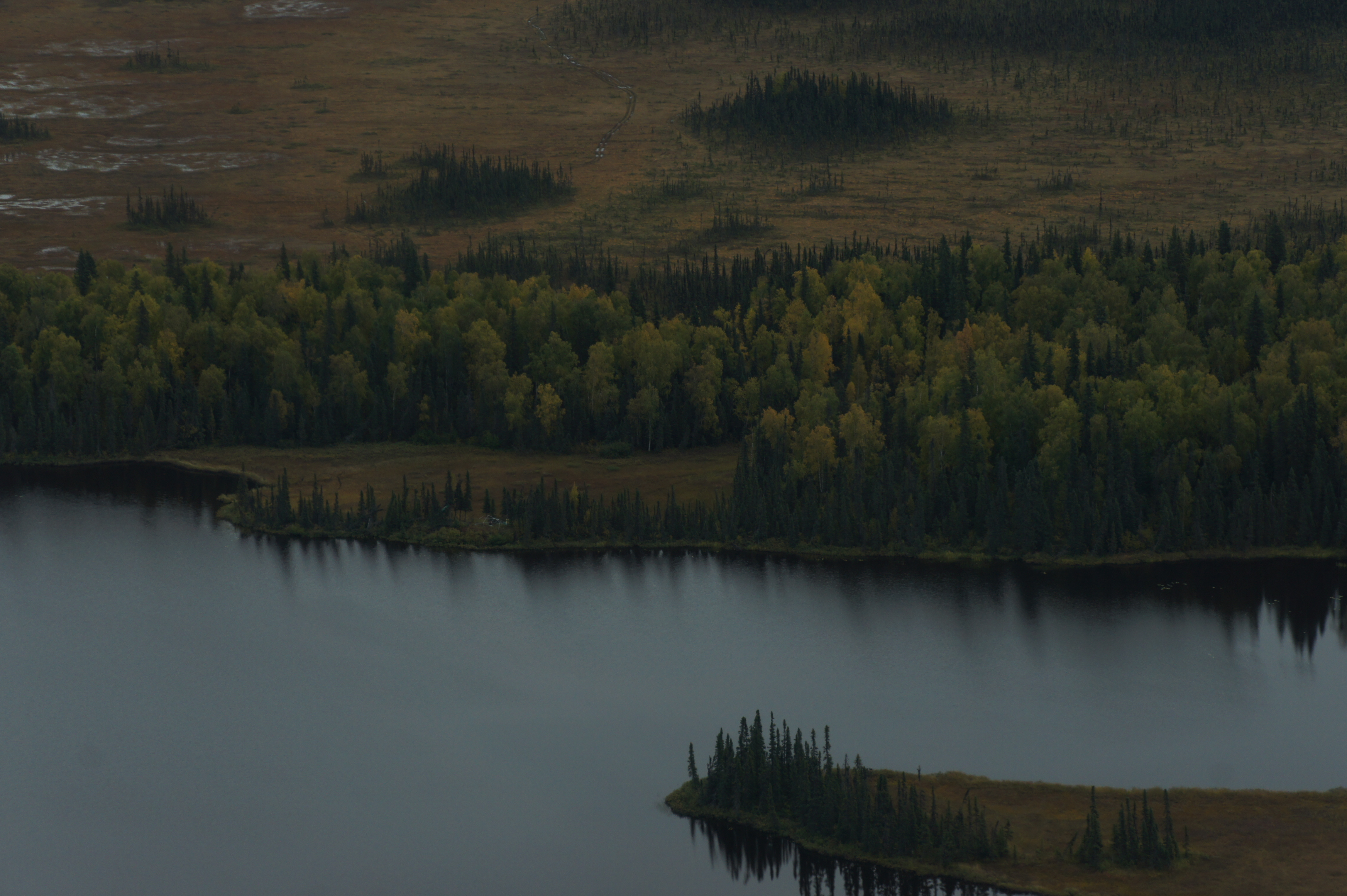 Click to return to the thumbnail index